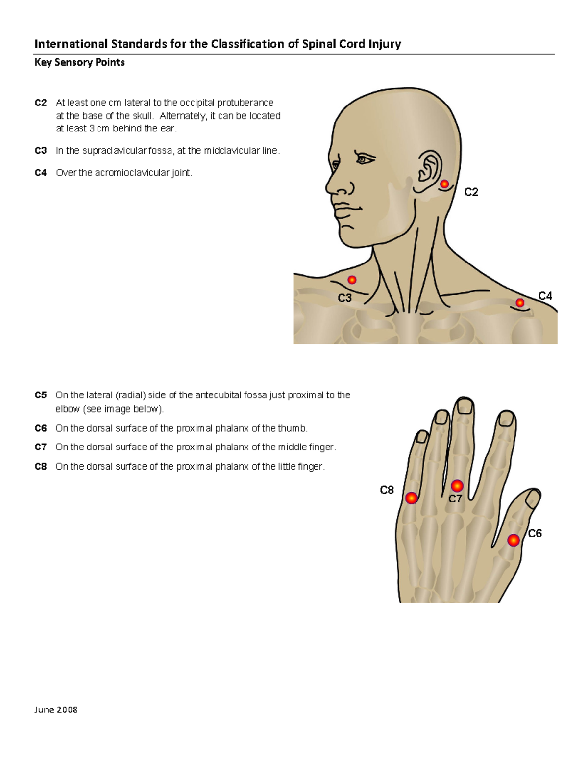 Puntos sensitivos ev ASIA - Key Sensory Points C2 At least one cm ...