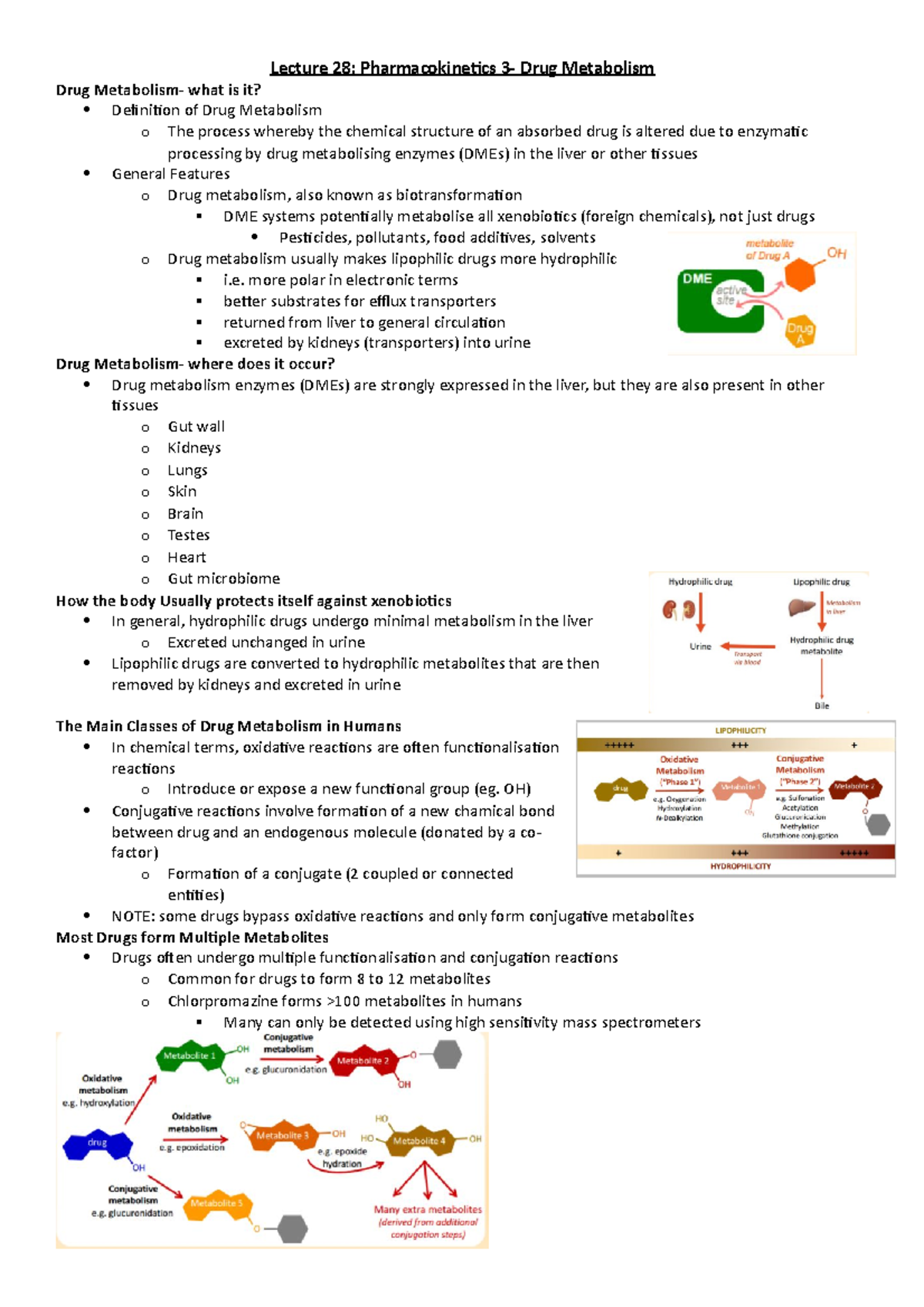 Lecture 28 Lecture 28 Drug Metabolism Drug what is