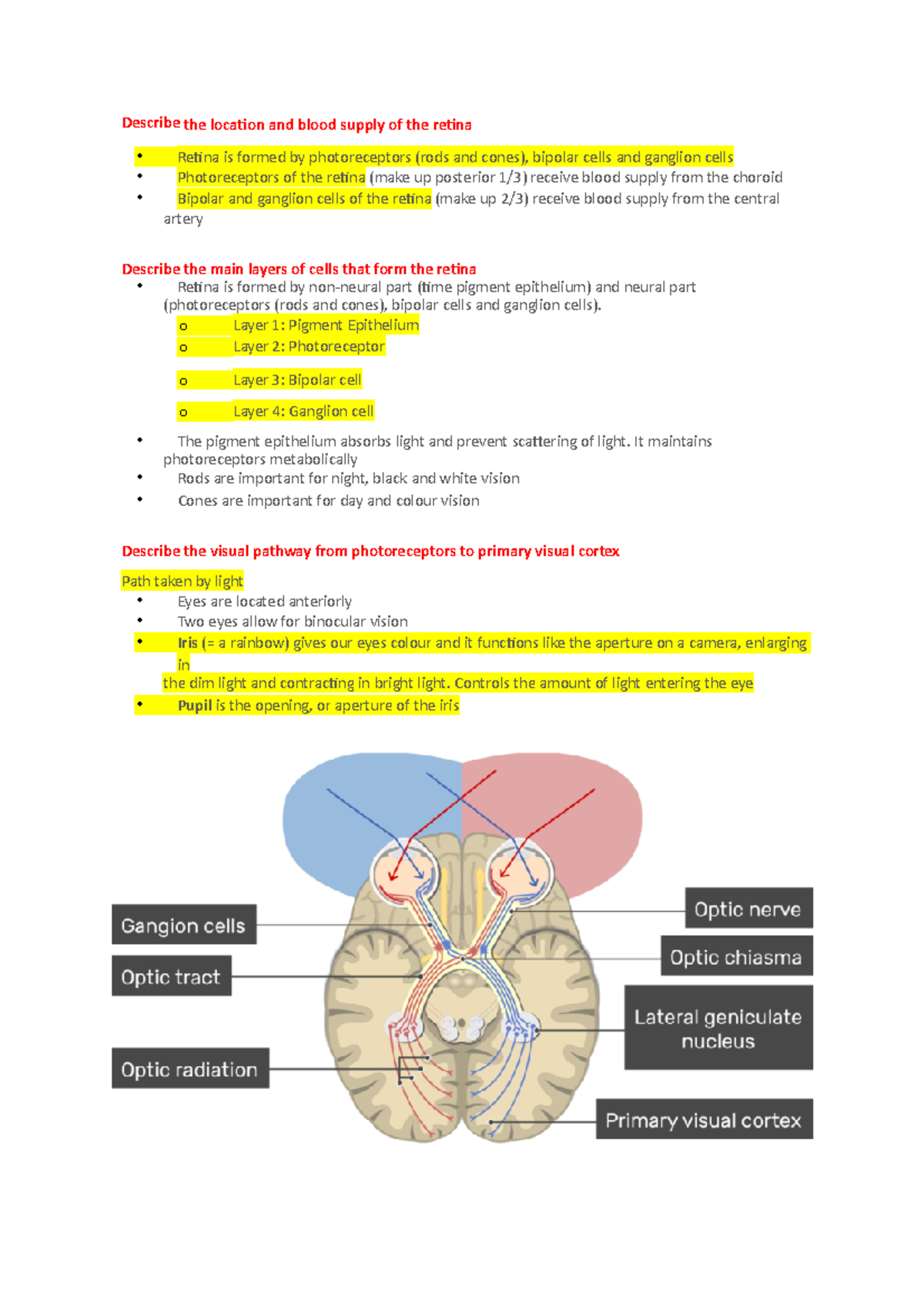 Lec 4 - Lecture notes 4 - Describe the location and blood supply of the ...