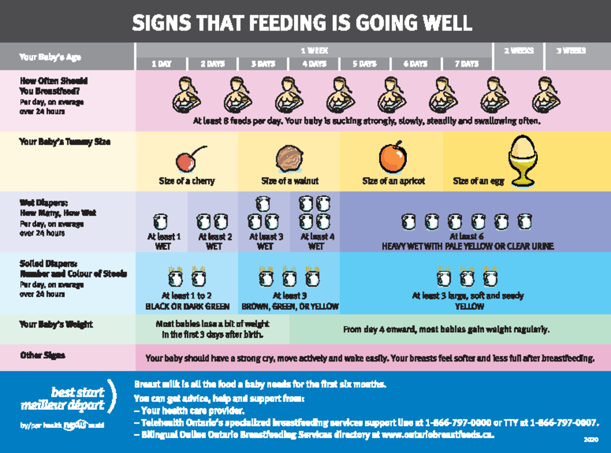 Breastfeeding Chart for Labour and Delivery Clinical Practice - Nursing