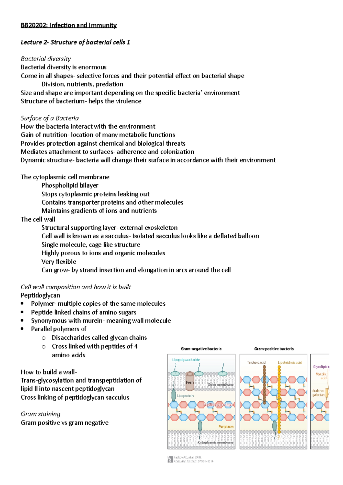 BB20202- Structure Of Bacterial Cells (part 1) - BB20202: Infection And ...