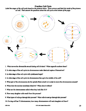 Exam1Practice Solutions - PHYS 112 - Studocu