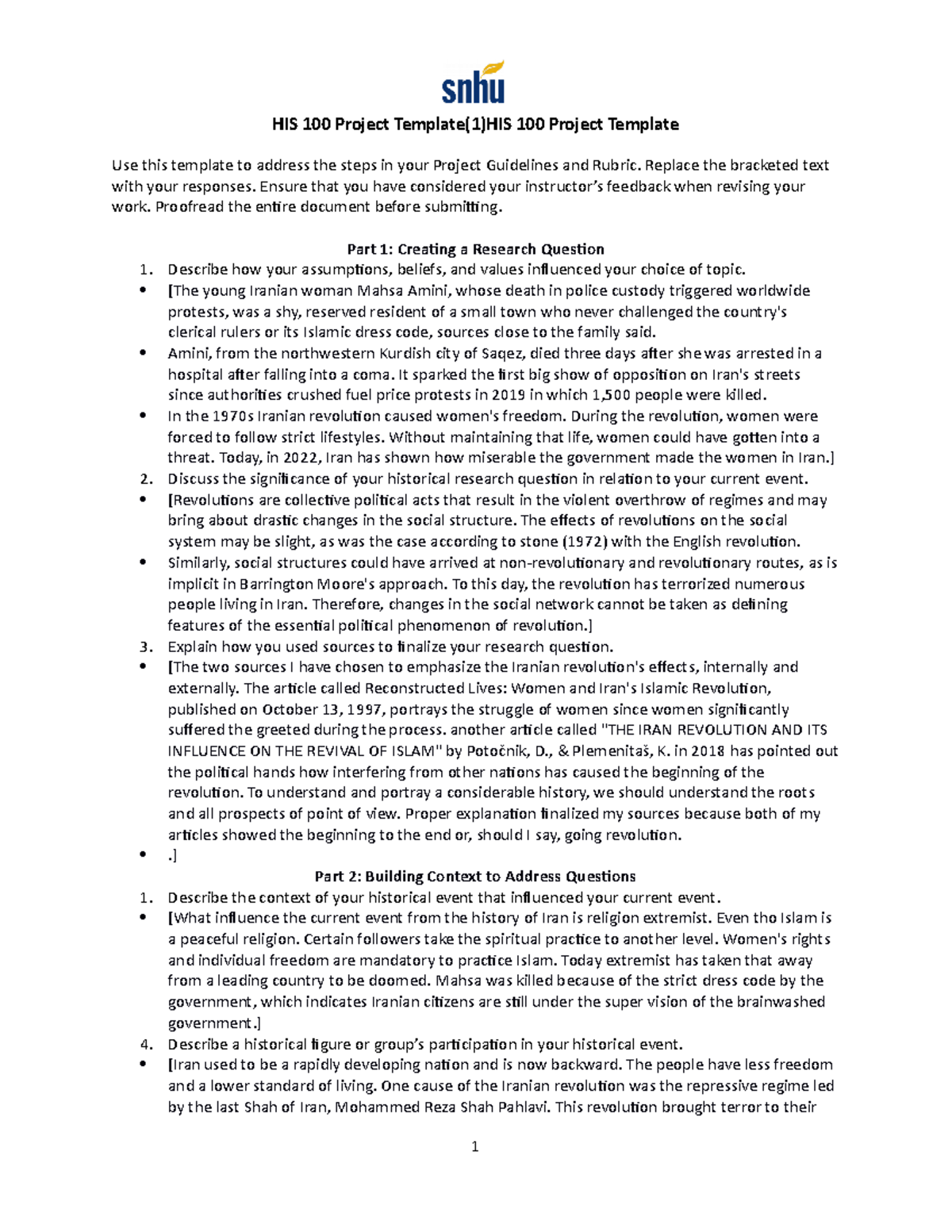 HIS 100 Project Template - HIS 100 Project Template(1)HIS 100 Project ...