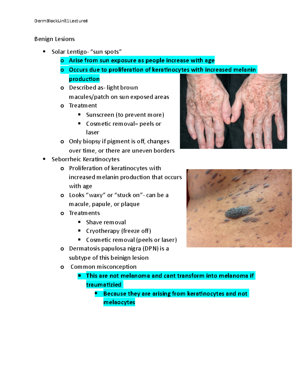 Unit1Lecutre 6Benign Lesions - Benign Lesions Solar Lentigo- “sun spots ...