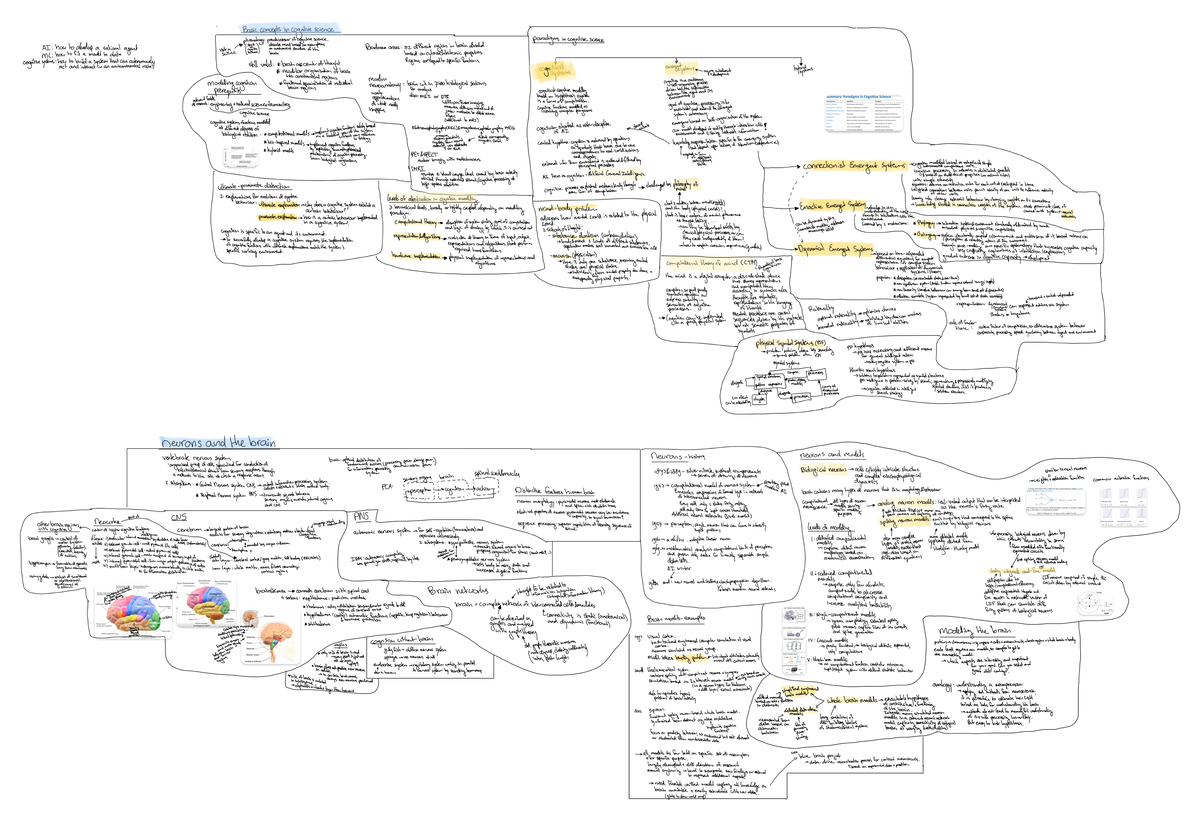 Cognitive systems - SS24 - Basic concepts incognitive science ...