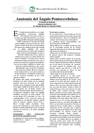 Final anato completo - CRÁNEO La línea de Poirier separa la calota ...