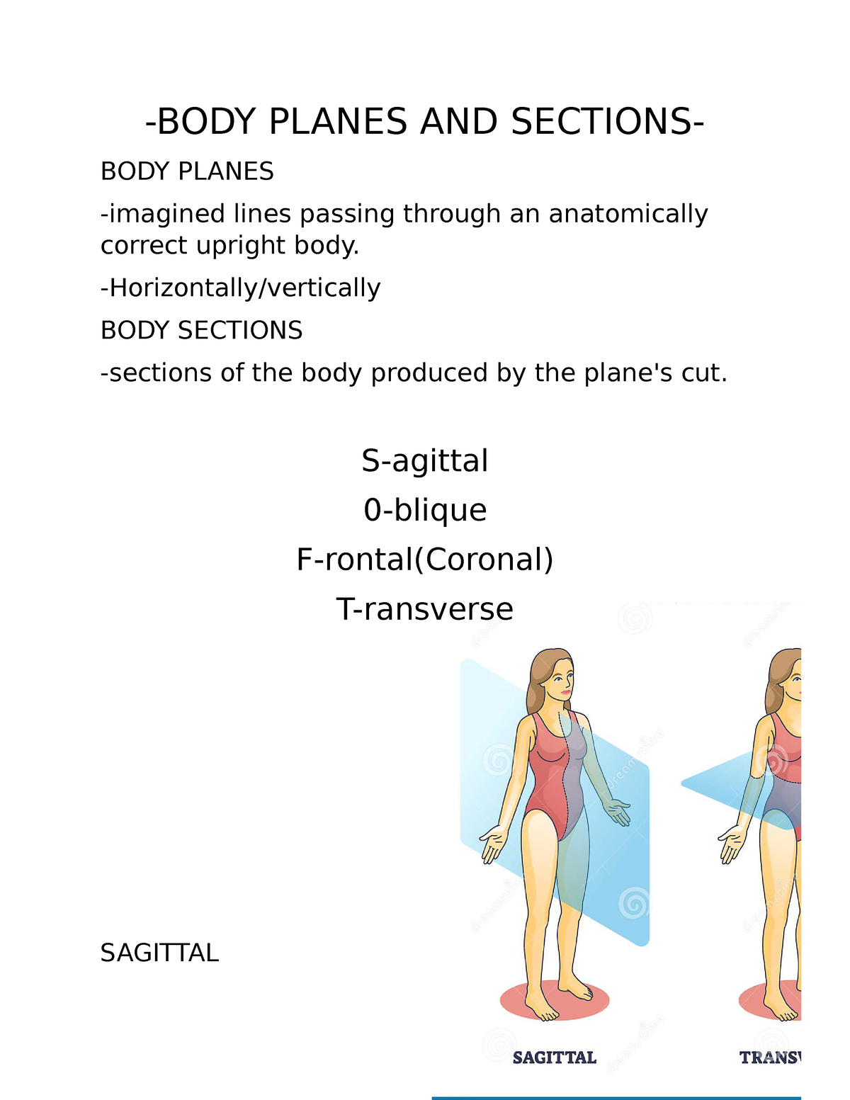 BODY Planes AND Sections -BODY PLANES AND SECTIONS- BODY PLANES ...