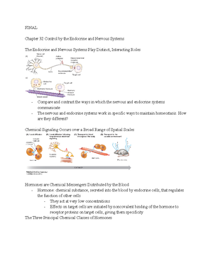 Bio Study Guide Exam 2 - Summary General Biology II - Bio Study Guide ...