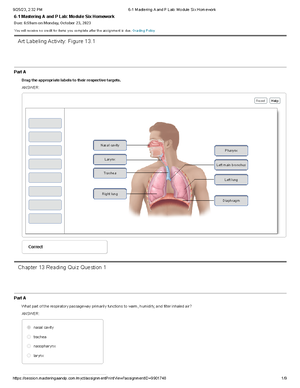 4-1 Mastering A And P Lab Module Four Homework - Grading Policy ...