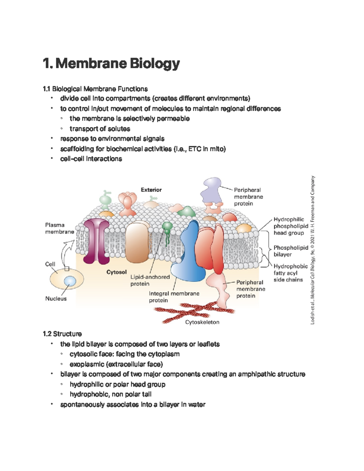 Membrane Biology - 1. Membrane Biology 1 Biological Membrane Functions ...