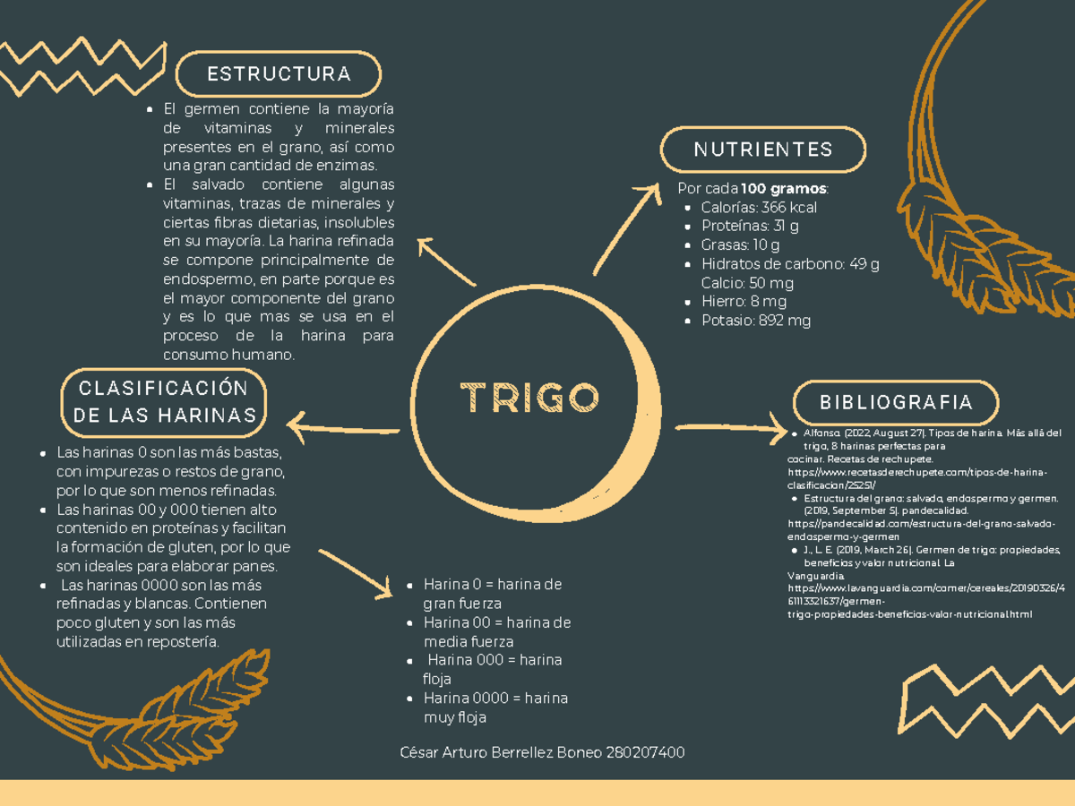 Estructura del trigo - BIBLIOGRAFIA CLASIFICACIÓN DE LAS HARINAS ...