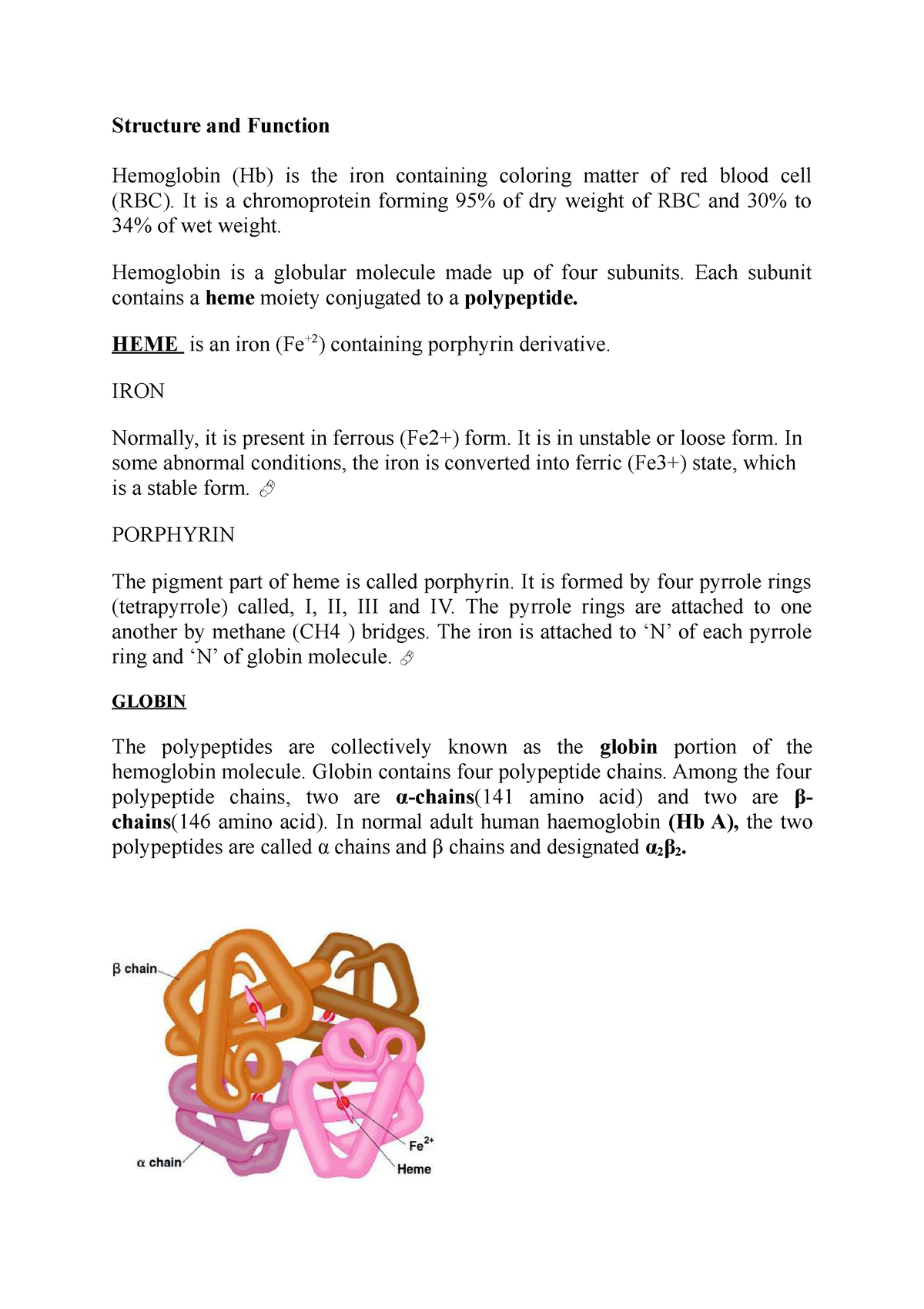 Hemoglobin - 5 - Its Lecture Notes - Structure And Function Hemoglobin ...