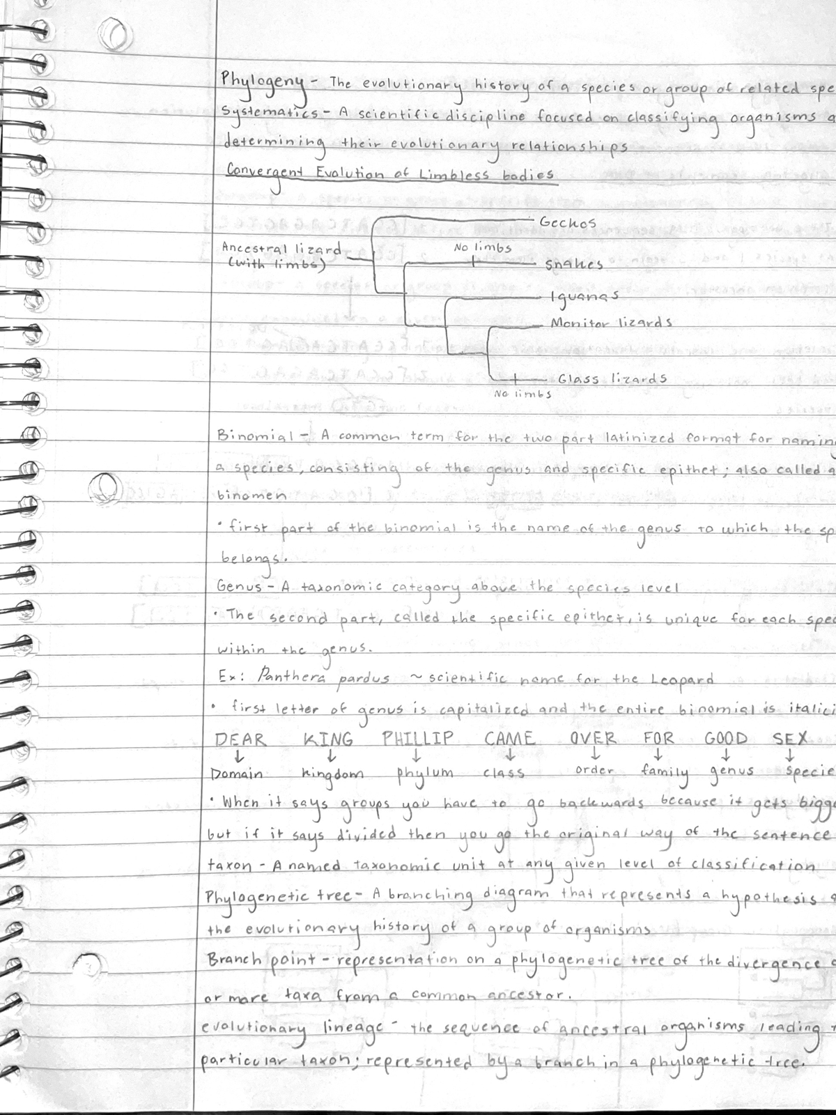 Notes Part 1 - BIOL 1030 - Studocu