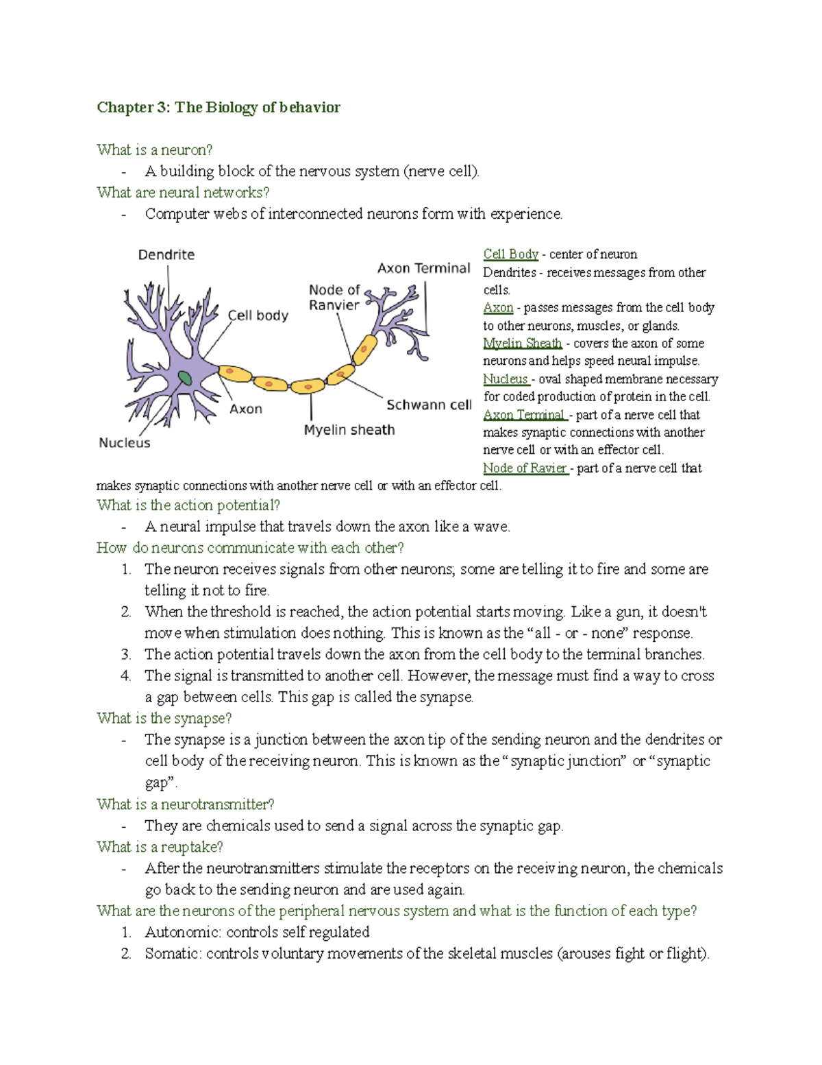 Chapter 3 Notes - Chapter 3: The Biology Of Behavior What Is A Neuron ...