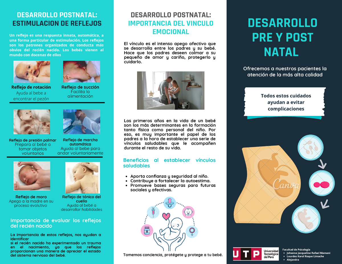 Triptico Desarrollo Pre Y Post Natal Desarrollo Pre Y Post Natal