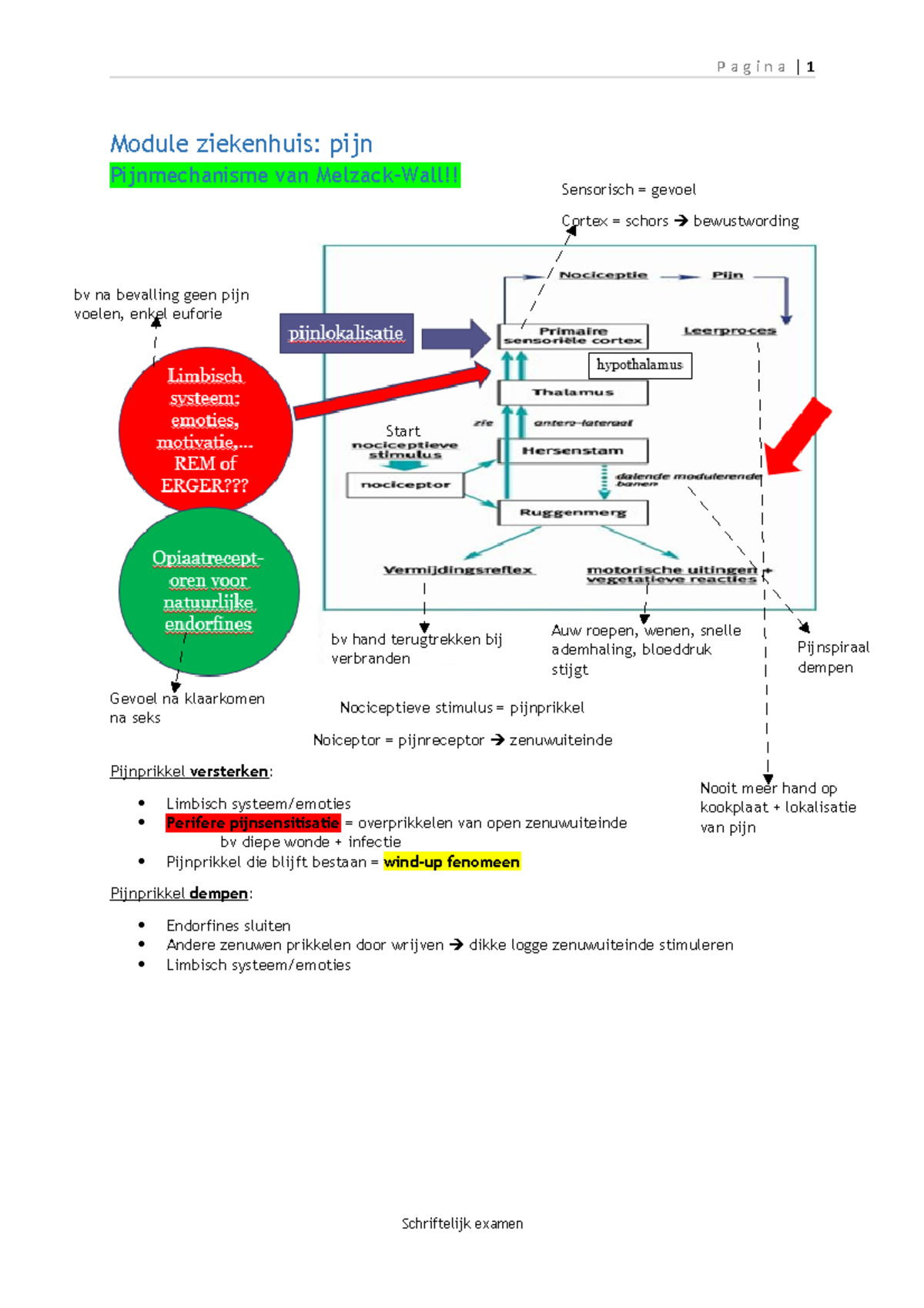 Samenvatting Pijn En Pijnbehandeling - Pagina Module Ziekenhuis: Pijn ...