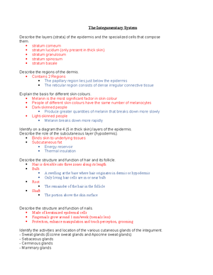 Week 7 Prep - Joints - teacher: Professor Patterson - Anatomy ...