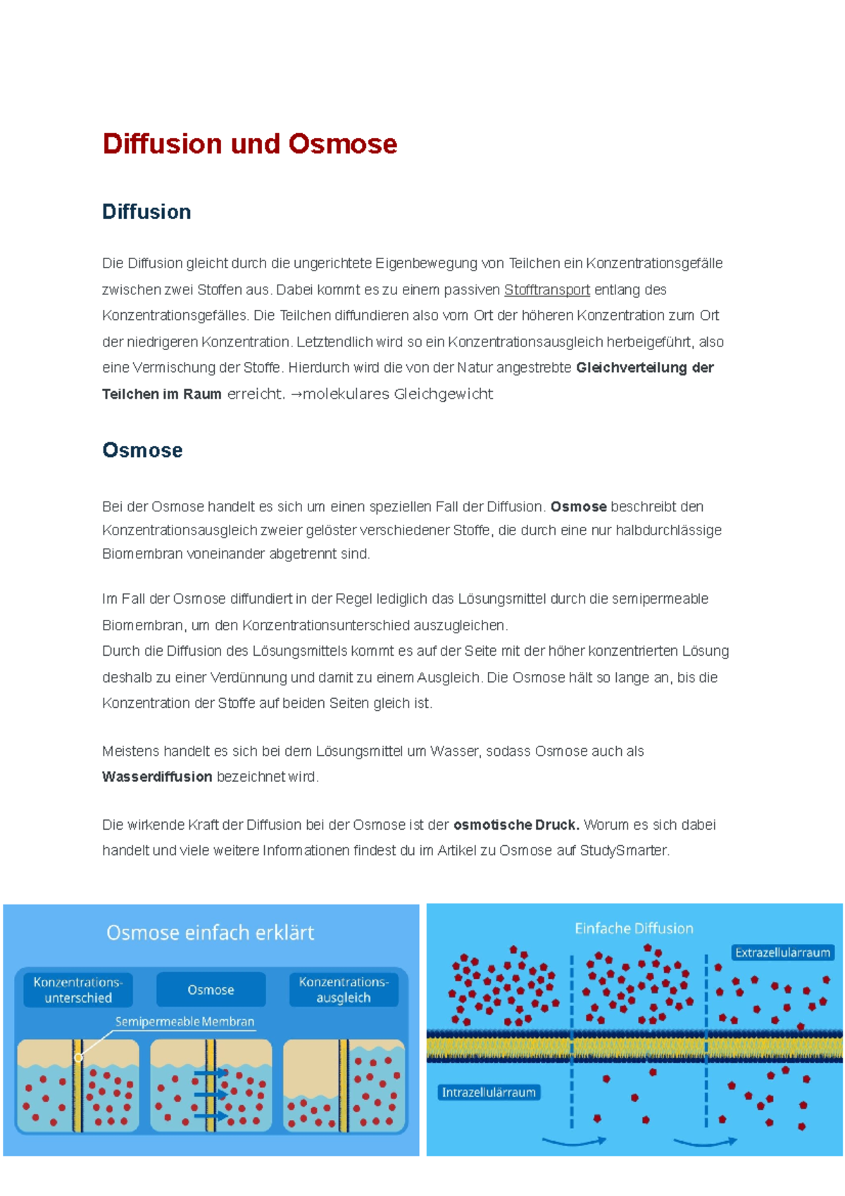 Unterschied Zwischen Osmose Und Diffusion Diffusion und Osmose - Zusammenfassung und Beschreibung als Lernzettel