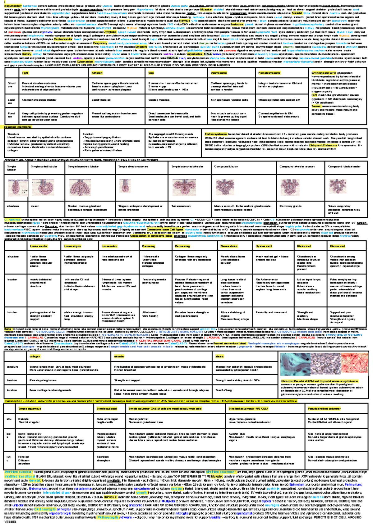 Biosci 107 mid sem - For mid sem test - I ntegumentary: Epidermis ...