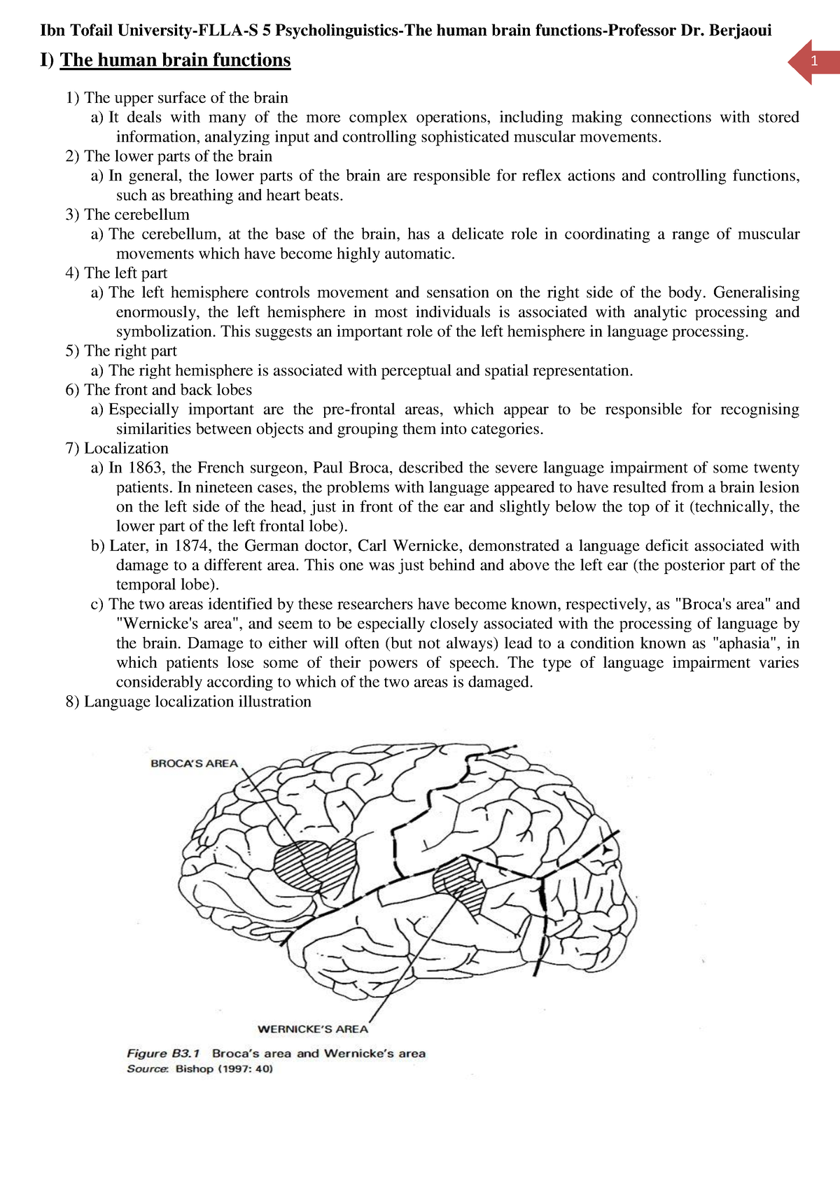 12-Professor Dr. Berjaoui-Psycholinguistics-Human Brain-functions-2022 ...