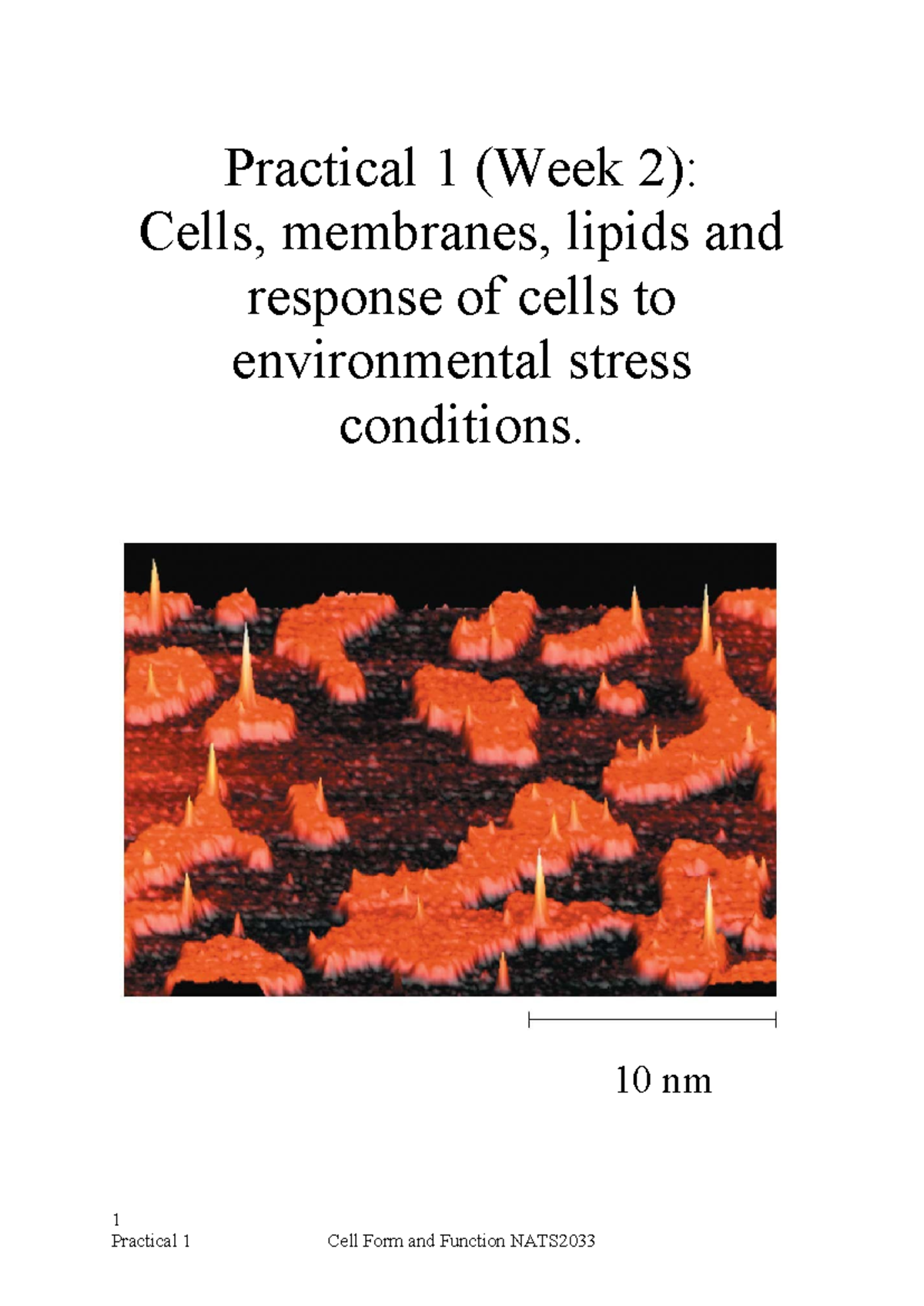 CFF lab - Practical 1 (Week 2): Cells, membranes, lipids and response ...