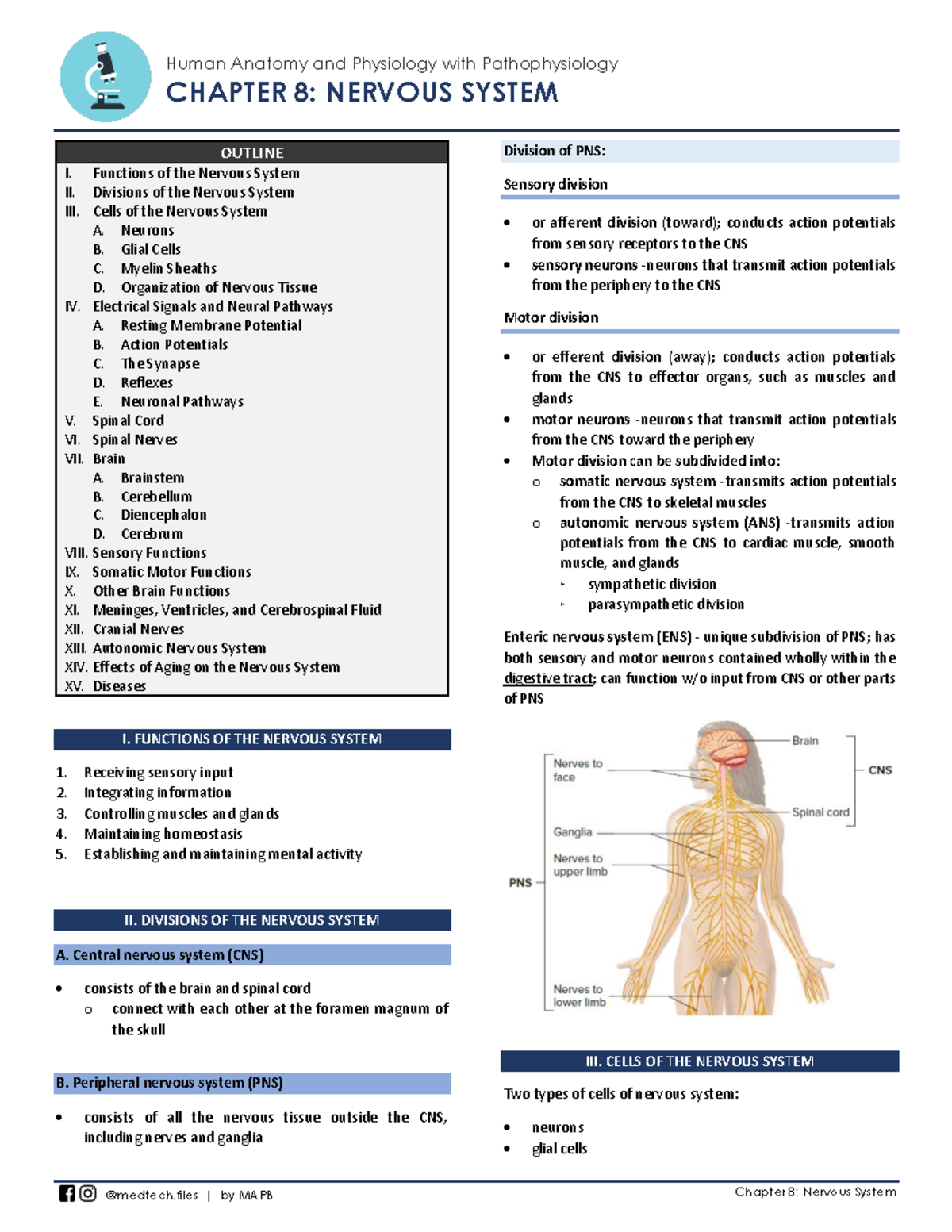 Midterms Anaphy - Nothing - Human Anatomy and Physiology with ...