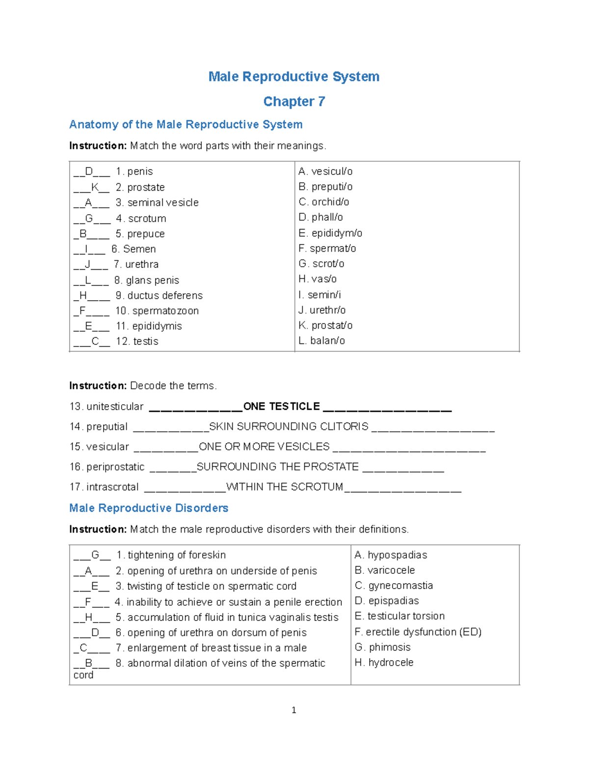 AHP105 Wk6 Assignment 2 - Male Reproductive System Chapter 7 Anatomy of ...