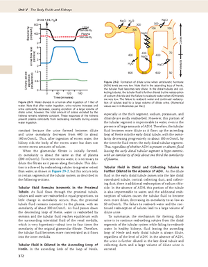Guyton and Hall Textbook of Medical Physiology ( PDFDrive )-16 ...