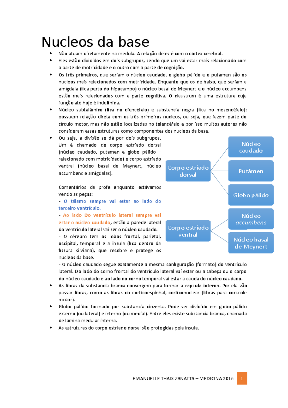 Nucleos da base - A deles com o cerebral. Eles divididos em dois ...