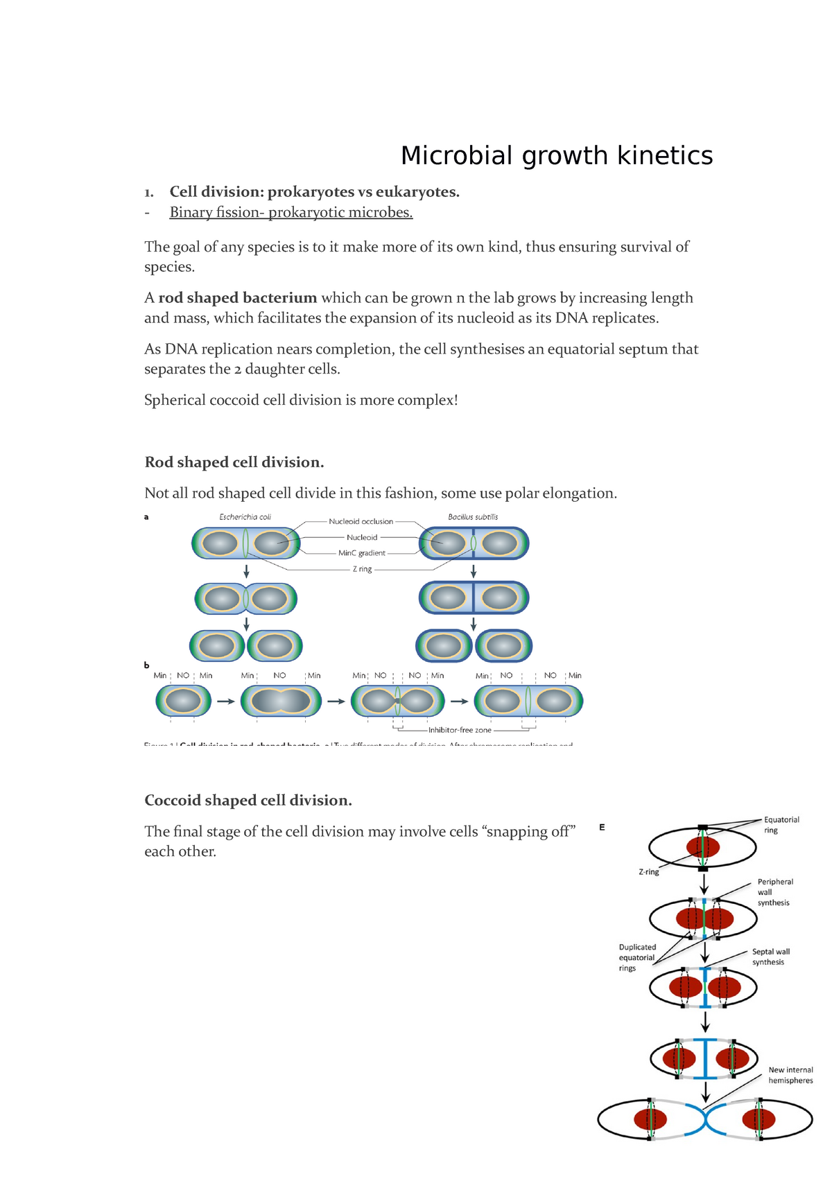 5. Microbial Growth Kinetics. - Microbial Growth Kinetics 1. Cell ...