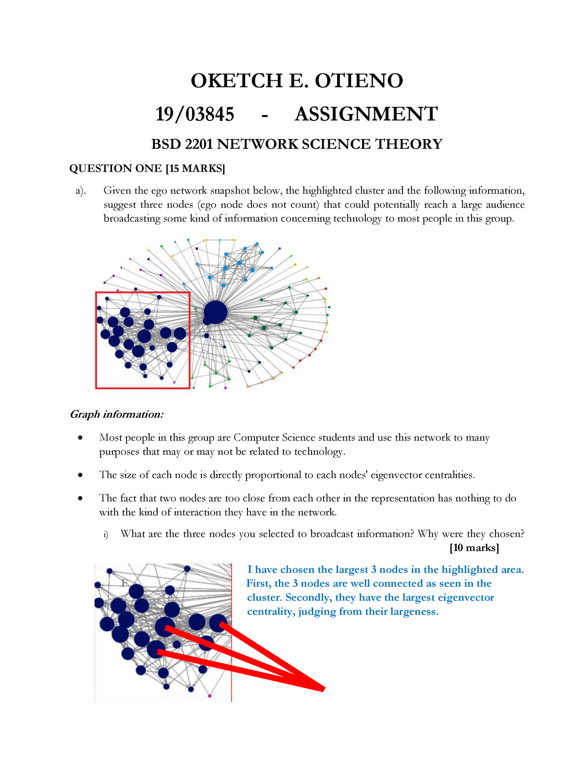 network theory assignment