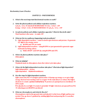 Biochem Chapter 13 - Biochemistry Exam 3 Practice CHAPTER 13 –  PHOTOSYNTHESIS What is the most - Studocu