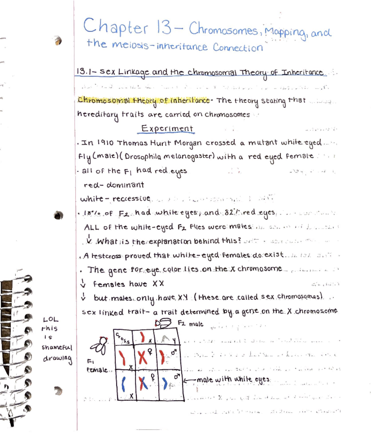 Bio 1406 Chapter 13 Notes - BIOL 1406 - Studocu