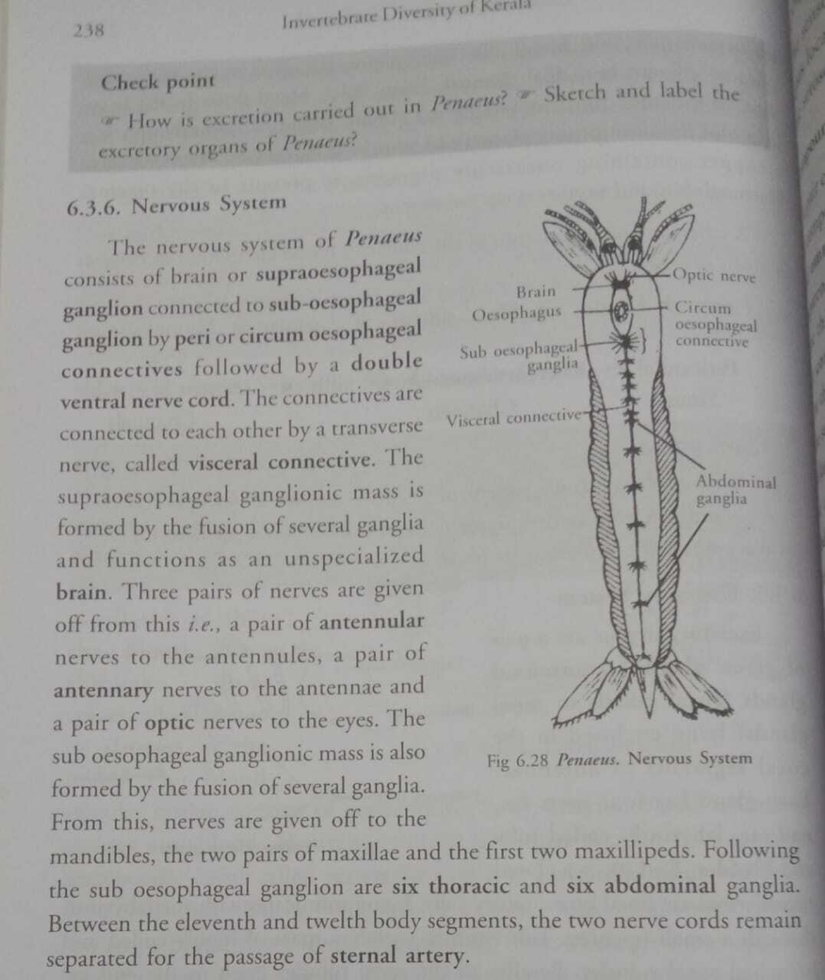 the topic nervous system - Zoology - Studocu