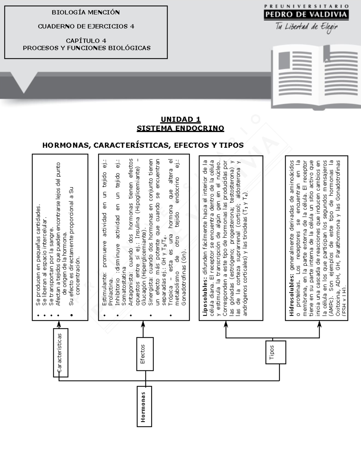 5092-Cuaderno De Ejercicios 4-BM 2022 - UNIDAD 1 SISTEMA ENDOCRINO ...