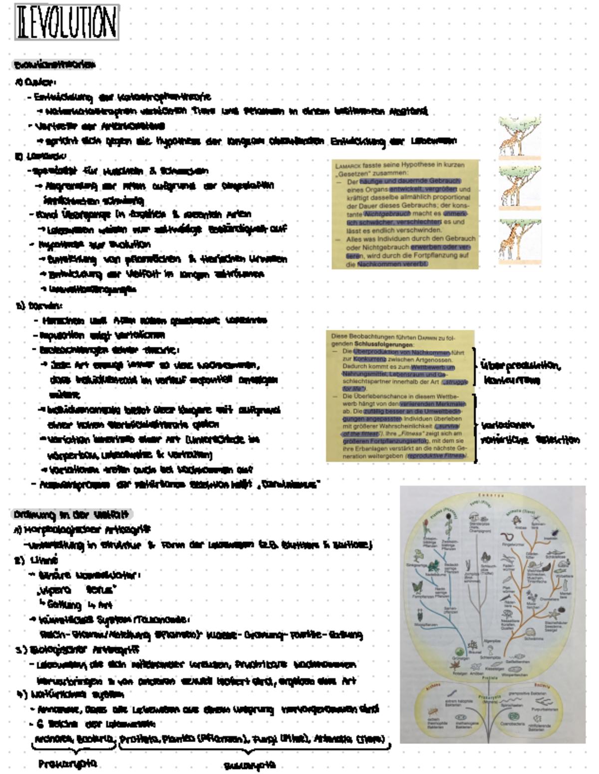 Lernzettel Kurzarbeit - IEVOLUTION Evolutionstheorien ####### 1) Cuvier ...