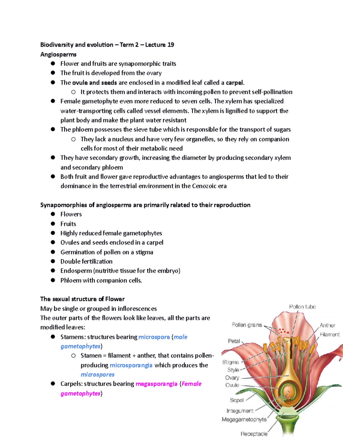 Biodiversity and evolution – Term 2 – Lecture 19 - Biodiversity and ...