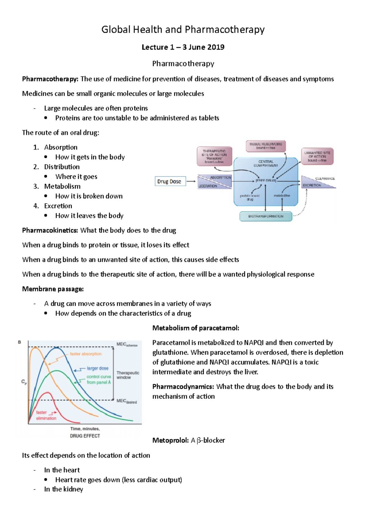 Global Health And Pharmacotherapy Summary - Global Health And ...