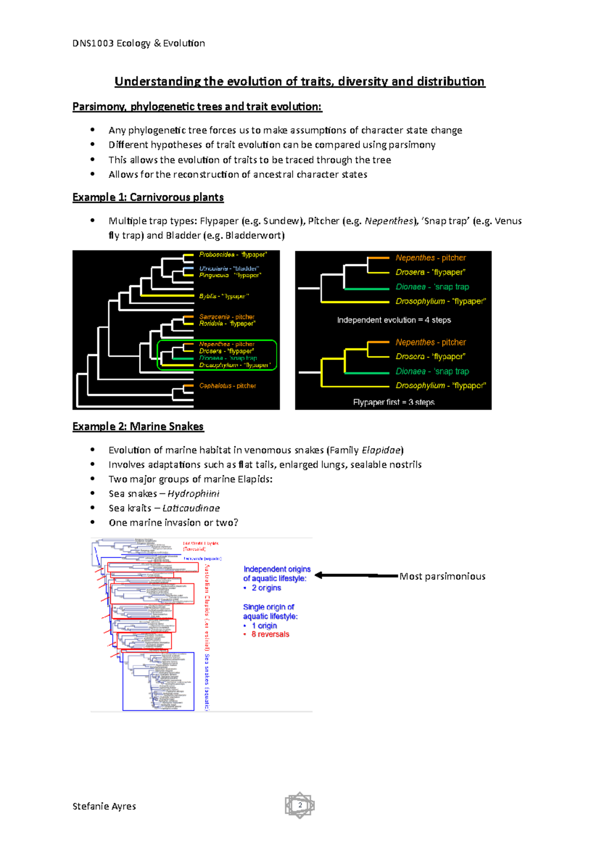 Unlocking Evolutions Mysteries Understanding Derived Traits - zf0f6y3