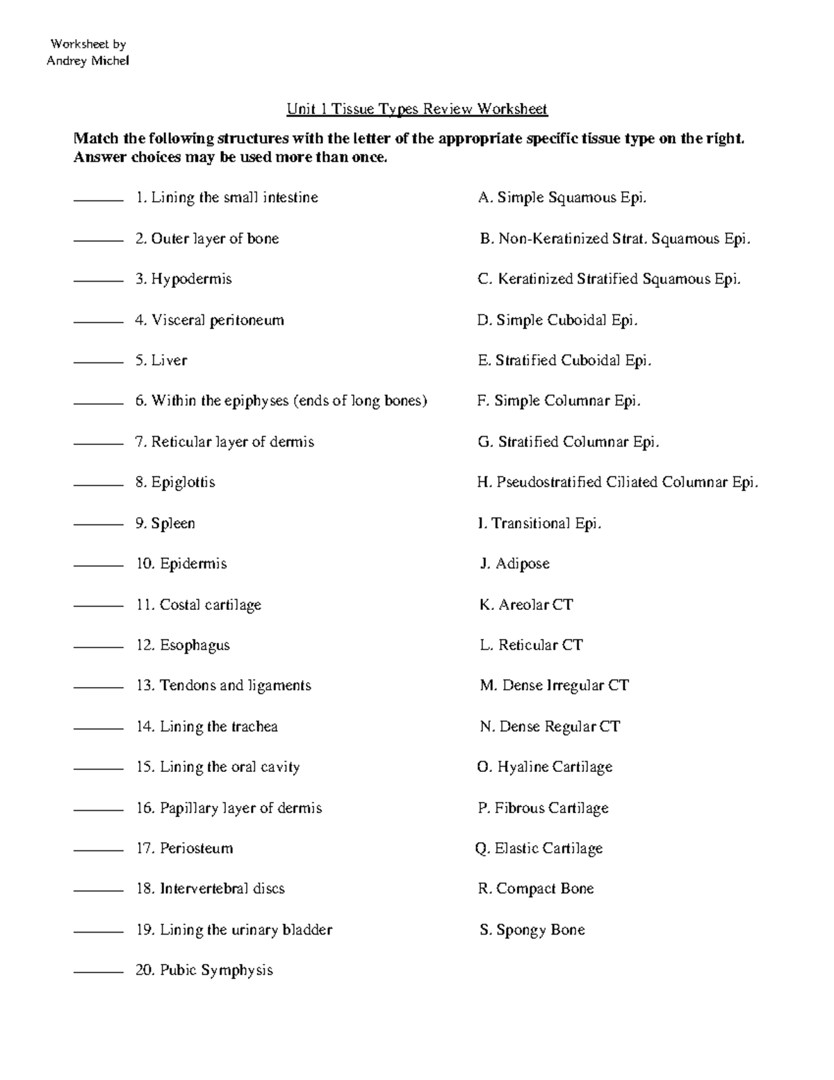 Michel Anatomy Tissue Types Review Worksheet - Unit 1 Tissue Types