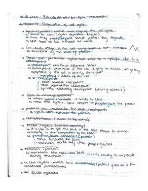 Bio 285 final cheat sheet - DNA replication - 1. ORC 2. CDK ...