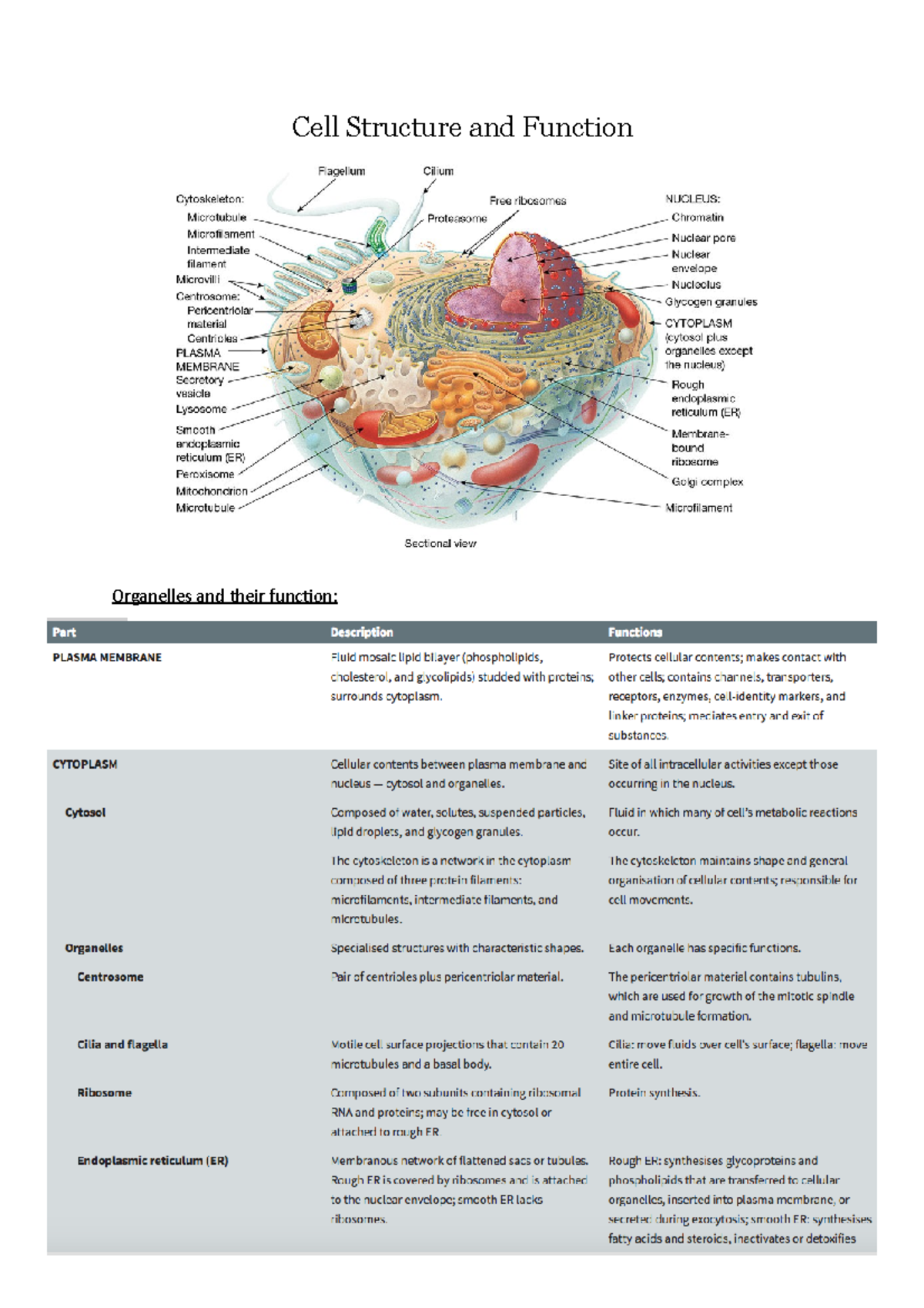 Cell Structure & Function W2 - Cell Structure and Function Organelles ...