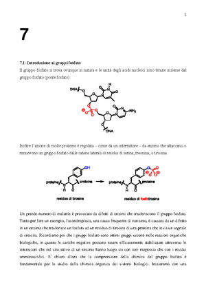trasferimento di gruppi fosfato 7 7 introduzione ai gruppi fosfato il gruppo fosfato si trova studocu