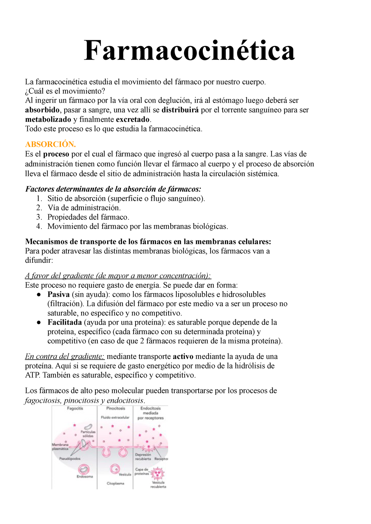 Unidad 3 Farmacocinética - Farmacocinética La Farmacocinética Estudia ...