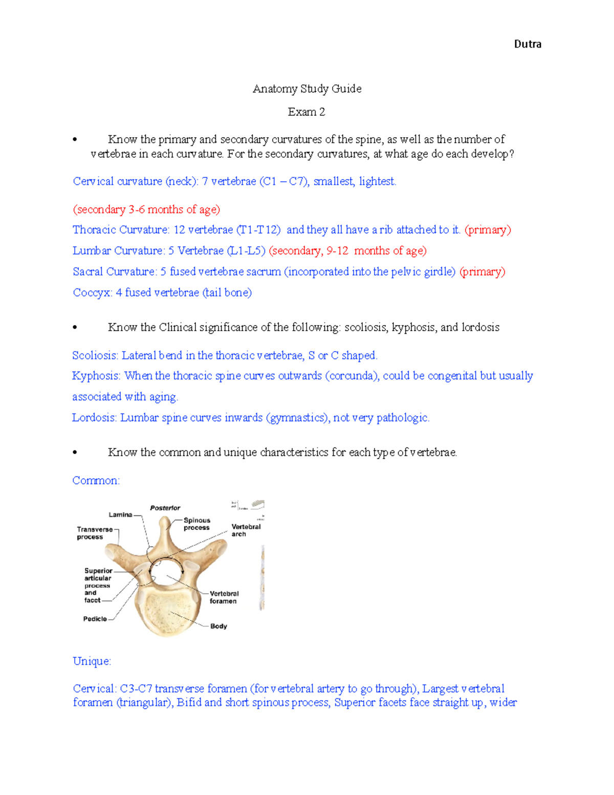 Anatomy Study Guide EXAM 2 Anatomy Study Guide Exam 2 Know the