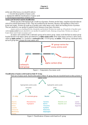 Chapter 10 Urinary System - Chapter 11 Urinary System At the end of the ...