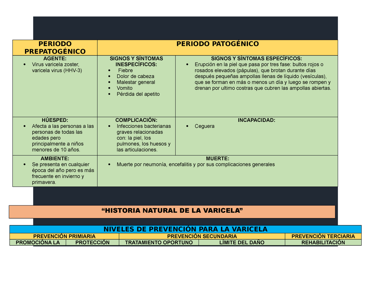 Historia Natural De La Varicela