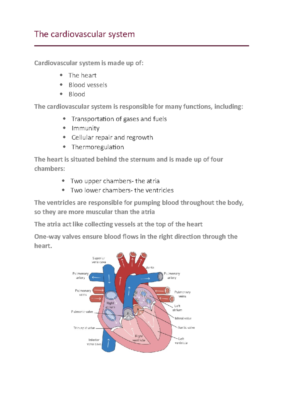 The cardiovascular system The cardiovascular system Cardiovascular