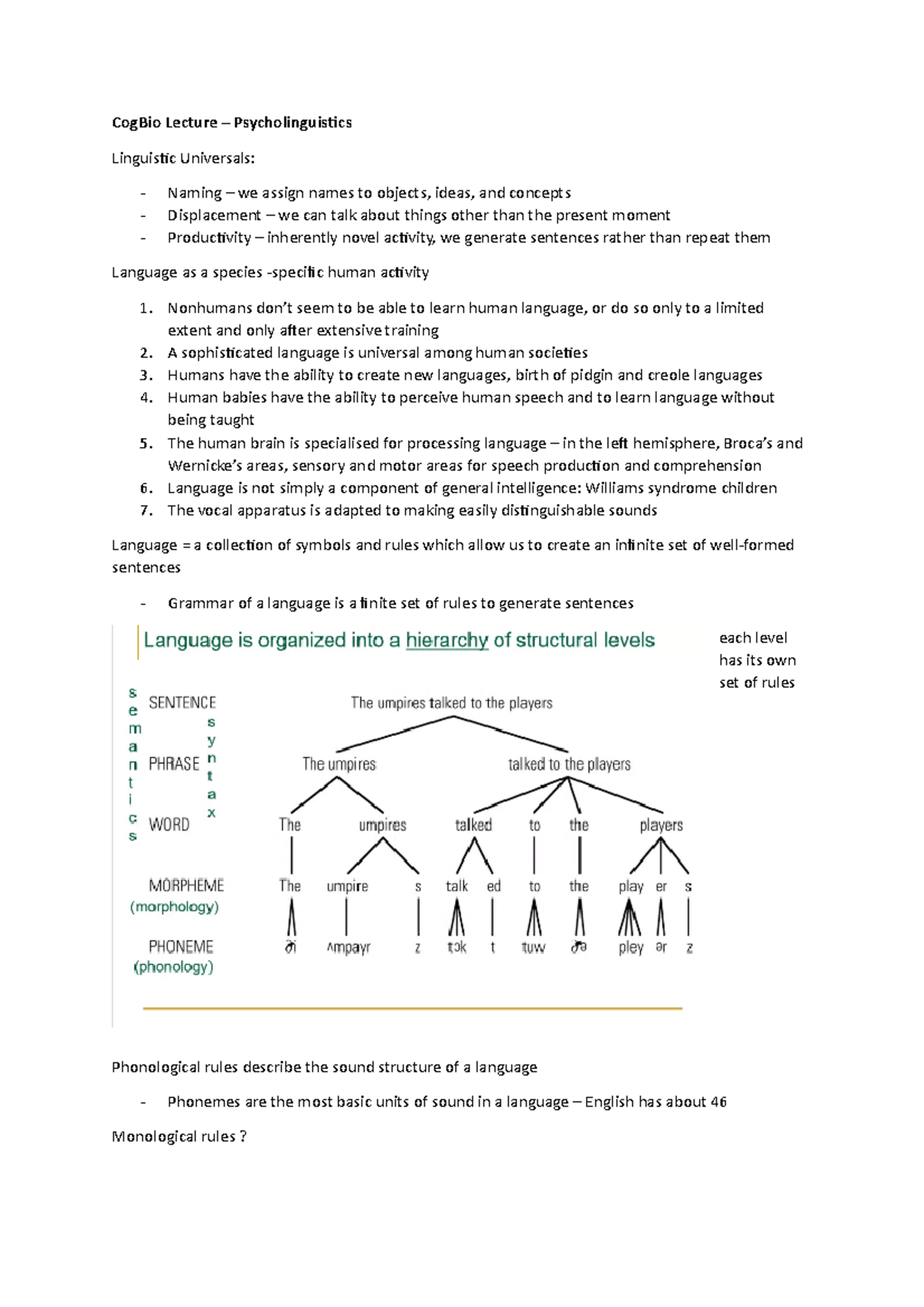 Psycholinguistics - Second Year Lecture Notes - CogBio Lecture ...