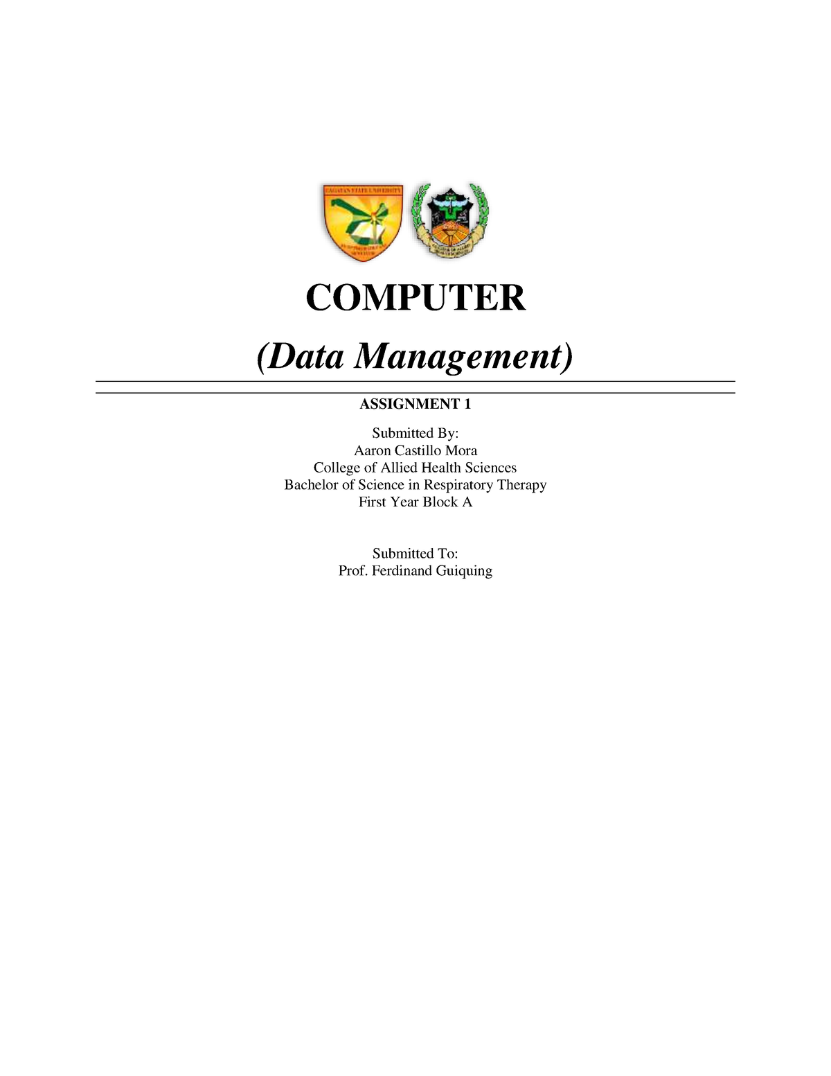 computer application and data management assignment pdf